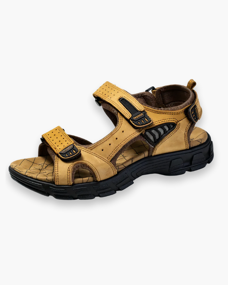 Variant image for Brun