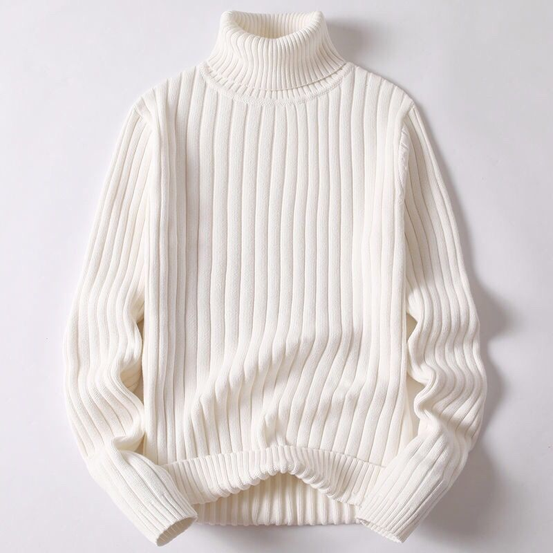 Hugo - Pull automne à col roulé homme
